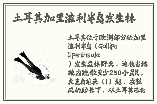 好**爽在线视频
